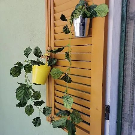 Летний дом La Casa Verde