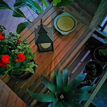La Casa Verde *