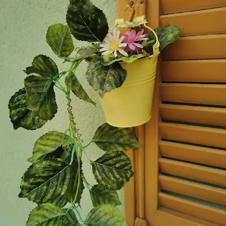 La Casa Verde *